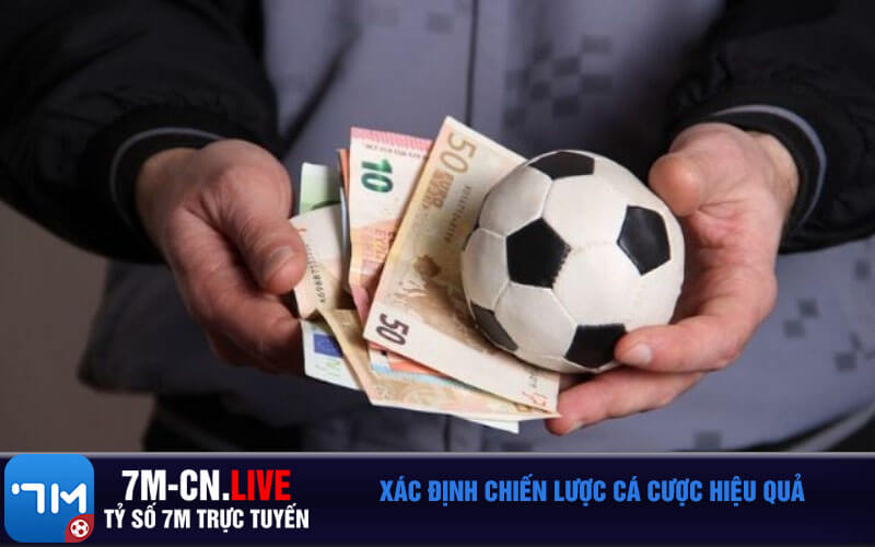 Xác định chiến lược cá cược hiệu quả