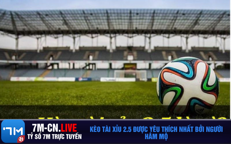 Keo tai xiu 2.5 duoc yeu thich nhat boi nguoi ham mo Kèo tài xỉu 2.5 được yêu thích nhất bởi người hâm mộ